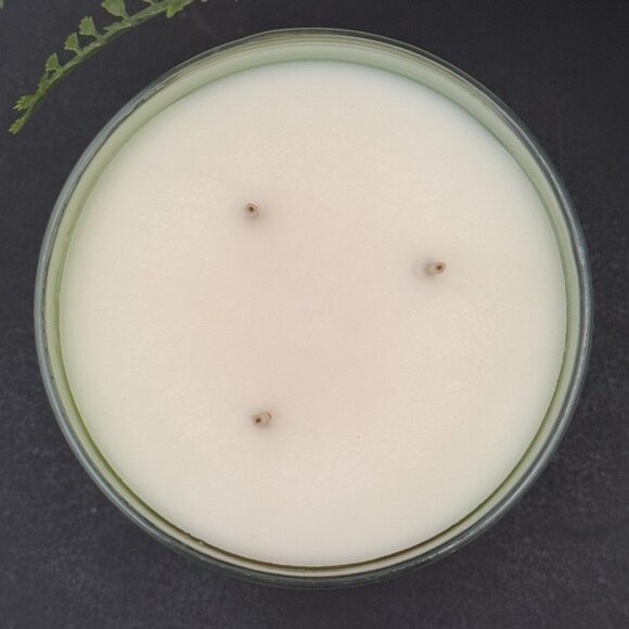 BBW Basil Leaf & Apple Bath & Body Works 3 Wick Candle - Picture 7 of 10